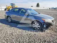 2008 Honda Accord фото
