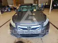 2008 Honda Accord фото