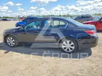 2008 Honda Accord фото