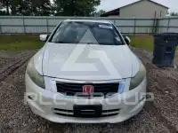 2008 Honda Accord фото