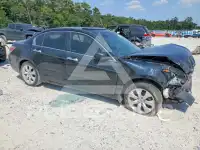 2008 Honda Accord фото