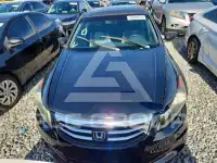 2008 Honda Accord photo