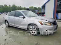 2008 Honda Accord фото