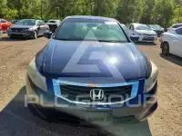 2008 Honda Accord фото