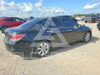 2008 Honda Accord фото