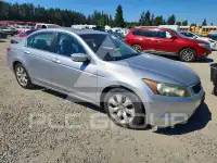 2008 Honda Accord photo