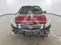 2008 Honda Accord фото