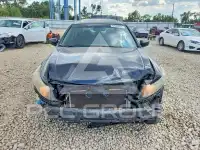 2008 Honda Accord photo