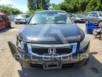 2008 Honda Accord фото