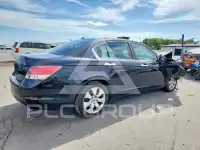 2008 Honda Accord photo