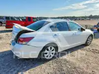 2008 Honda Accord фото