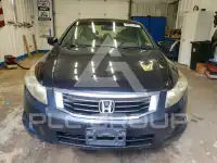 2008 Honda Accord фото