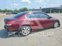 2008 Honda Accord фото