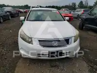 2008 Honda Accord фото