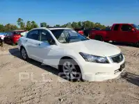 2008 Honda Accord фото