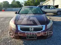 2008 Honda Accord фото