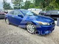 2008 Honda Accord photo