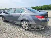 2008 Honda Accord фото