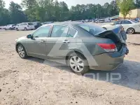 2008 Honda Accord photo