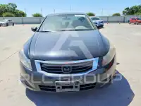 2008 Honda Accord photo