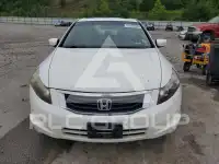 2008 Honda Accord фото