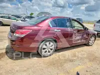 2008 Honda Accord фото