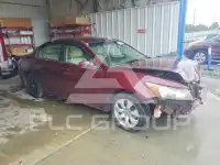 2008 Honda Accord photo