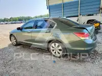 2008 Honda Accord photo