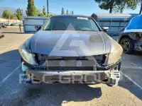 2008 Honda Accord фото