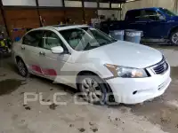 2008 Honda Accord фото