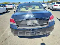 2008 Honda Accord фото