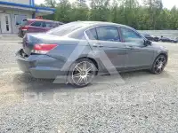 2008 Honda Accord фото