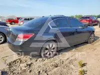 2008 Honda Accord photo
