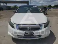 2008 Honda Accord фото
