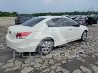 2008 Honda Accord фото