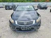 2008 Honda Accord фото