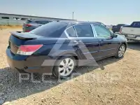 2008 Honda Accord фото