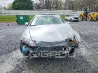 2008 Honda Accord photo