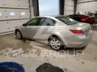 2008 Honda Accord фото