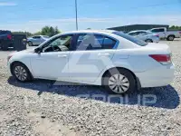 2008 Honda Accord фото