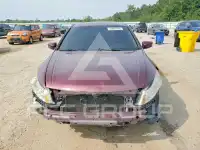 2008 Honda Accord photo