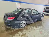 2008 Honda Accord photo
