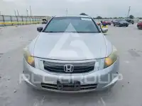 2008 Honda Accord photo