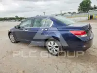 2008 Honda Accord фото