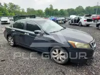 2008 Honda Accord photo