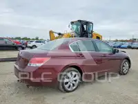 2008 Honda Accord photo