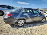2008 Honda Accord фото