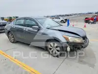 2008 Honda Accord photo