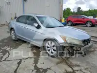 2008 Honda Accord фото