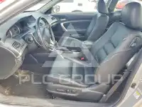 2008 Honda Accord photo